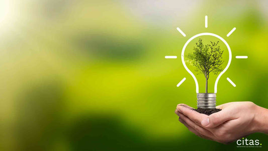 Saiba o que é greenwashing e por que evitar!