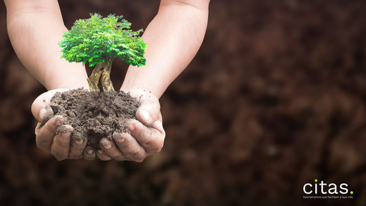 Quais são os tipos de sustentabilidade?