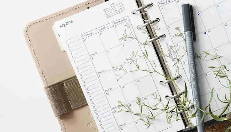 Como escolher um colega de quarto: agende um horario