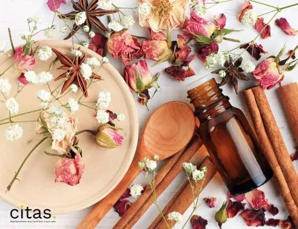 Aromaterapia: bons fluidos e casa aconchegante