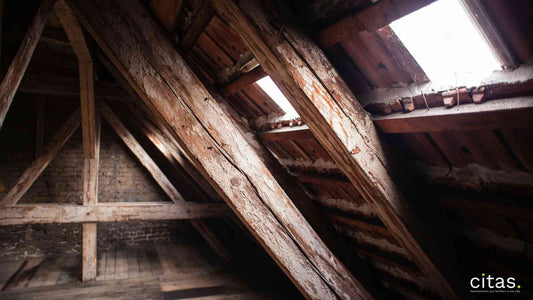 Loft em São Paulo: conheça melhor essa opção de moradia