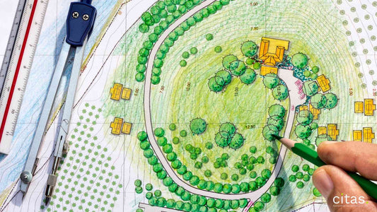 Paisagismo: Confira o que é e quais são os seus benefícios!