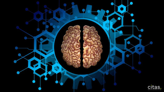 Descubra: o que é a Geração Alpha?