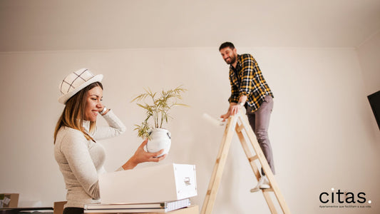 Como decorar um apartamento alugado no centro da cidade