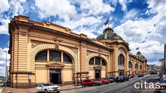 Mercado Municipal de São Paulo: o que fazer e como chegar
