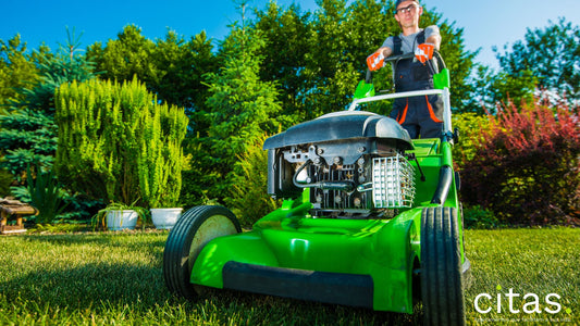 Conheça os melhores cursos gratuitos de paisagismo!