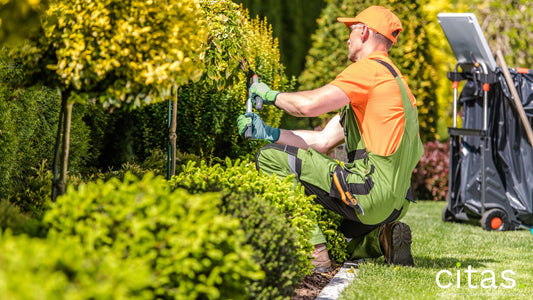 Como aprender paisagismo gastando pouco?