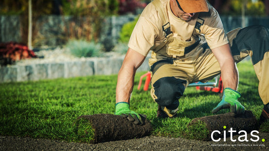 Descubra: quanto ganha um paisagista