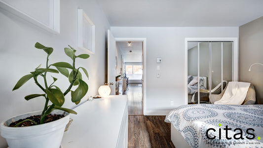 Apartamento mobiliado para alugar: por onde começar a procurar?